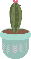 Succulent in pot illustration