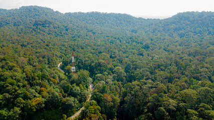 Aerial drone view of lush green view of forest trees scenery at Endau Rompin State Park in Kaula Rompin, Pahang, Malaysia