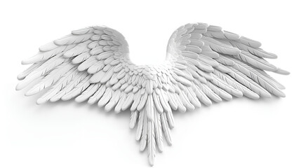 angel wings isolated on white, Wings on a white background with a gold and silver wing