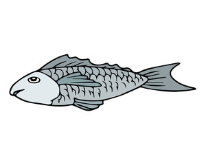 fish vector illustration