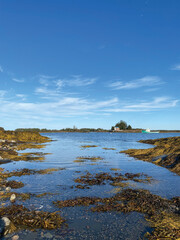 Blue Rocks in Lunenburg Region, Nova Scotia, Canada