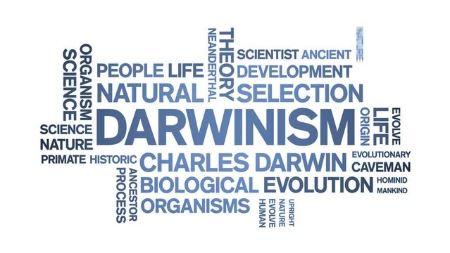 Darwinism animated tag word cloud;text design animation kinetic typography seamless loop.