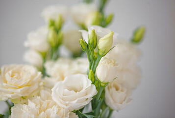 Flower white macro close up beautiful flowers