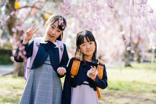 桜とピースサインをする小学生の女の子