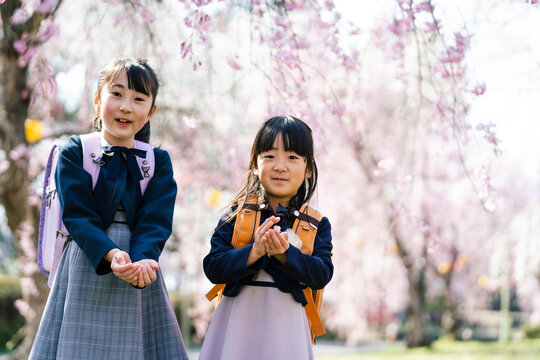 桜の花を持つ小学生の女の子