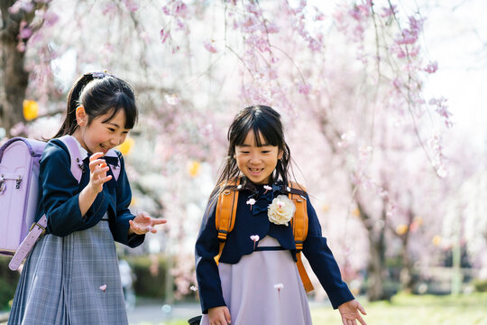 桜と小学生の女の子