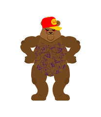 Bear gangster. Cool Beast. SWAG gangsta. Grizzly guy rapper