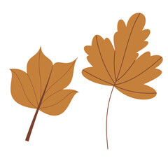 Autumn and Fall Season Theme Simple and Cute Vector Arts