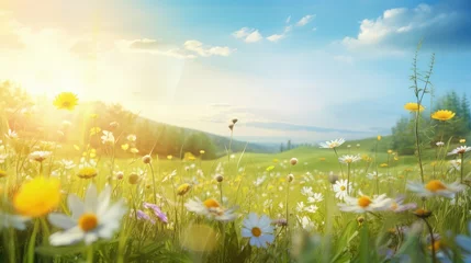  scene nature flora sunny countryside illustration meadow flower, plant outdoor, landscape grass scene nature flora sunny countryside © vectorwin