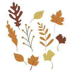Obraz premium Autumn and Fall Season Theme Simple and Cute Vector Arts