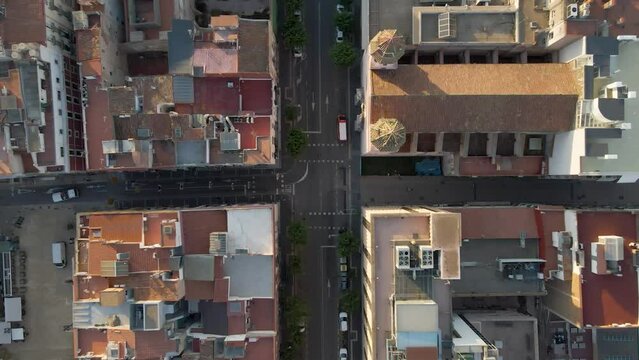 A serene static drone shot looking directly down at a T intersection in the morning, with birds gracefully soaring beneath