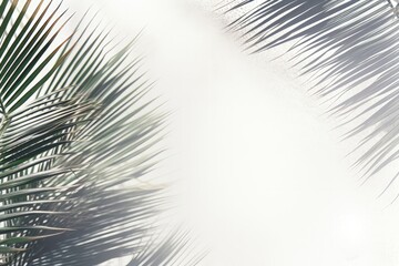 Obraz premium A creative background image featuring palm leaves casting shadows against a white backdrop, ideal for artistic content. Photorealistic illustration