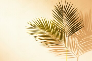 A creative backdrop featuring palm leaves casting shadows, with generous room for customization to tailor it to your unique creative content. Photorealistic illustration