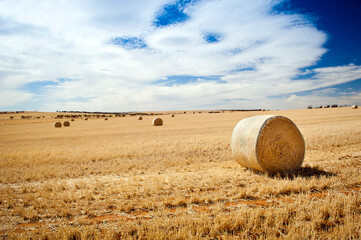 Harvest time in the farm fields with hay bales under the summer sun in Australia © THP Creative