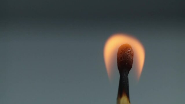 macro on a matchstick whose flame goes out, and burns
