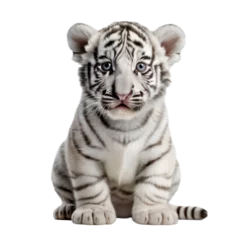 Gordijnen Baby white tiger isolated on transparent background,transparency  © SaraY Studio 
