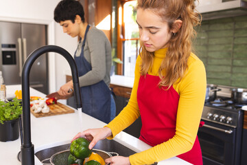 Focused of biracial lesbian couple chopping and washing vegetables in kitchen