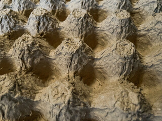 Paper egg tray closeup view. Recycling concept