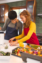 Happy biracial lesbian couple with tablet cooking vegetables in kitchen, copy space