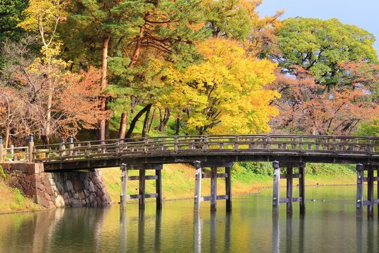 Takada Castle Gokurakubashi Bridge in Autumn Leaves Niigata Prefecture , Japan,Niigata Prefecture,Joetsu, Niigata November 2022
