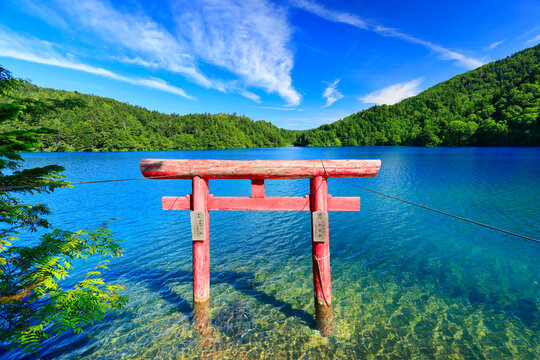 Torii (gate) of Onuma Shrine and Onuma Pond , Nagano Prefecture,Shimotakai-gun,Yamanouchi, Nagano,Japan August 2022
