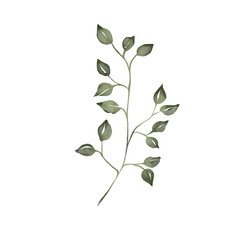 Watercolor illustration of green branch with leaves