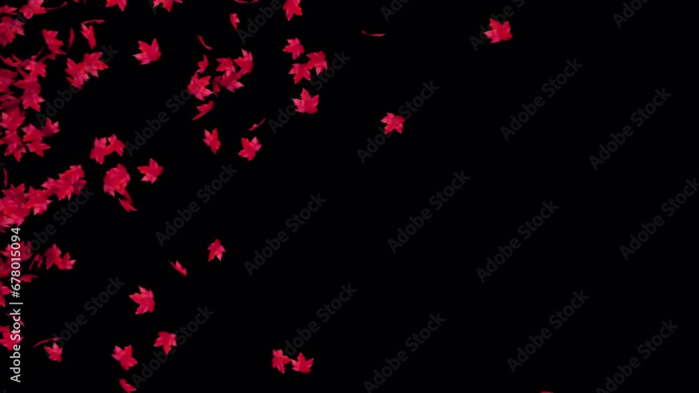 Wall mural maple leaves transition on ground with noise wind completely clearing the frame on a transparent alp
