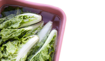 Small Chinese cabbage, Tokyo bekana cabbage soaked in a basin of water. Cleaning vegetables