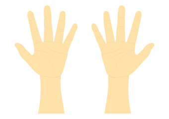 Fototapeta premium 右手と左手の手のひら