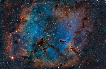 Elephants Trunk Nebula