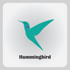 Hummingbird logo design with blue gradient color