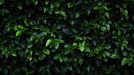 Tissu par mètre Herbe A wall of green leaves