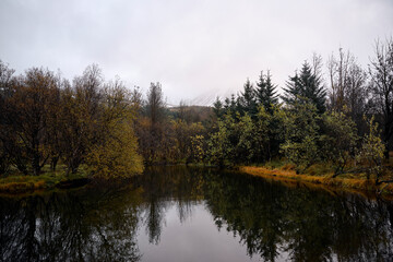 Fototapeta premium Calm lake reflecting trees under sky in forest