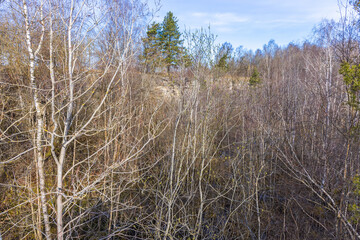 Fototapeta premium Old quarry overgrown with trees