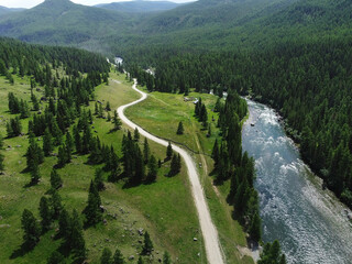 Aerial view of a green mountain landscape and alpine meadows where a river flows from the mountains and a beautiful coniferous forest stretches.