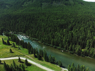 Aerial view of a green mountain landscape and alpine meadows where a river flows from the mountains and a beautiful coniferous forest stretches.