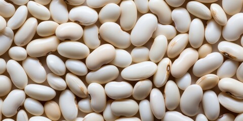 Exploring Red Kidney Beans. Taste the Color