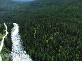 Aerial view of a green mountain landscape and alpine meadows where a river flows from the mountains and a beautiful coniferous forest stretches.
