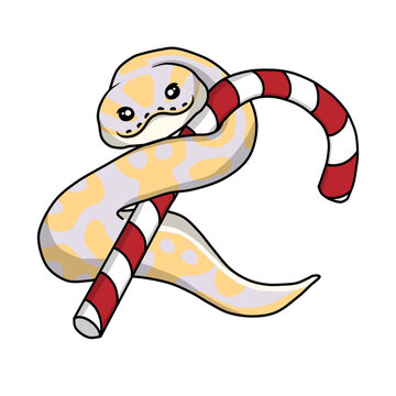 Ball python snake christmas clipart