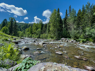 Mountain river in the wild. A clear stream of water flowing through stone boulders. A beautiful view of the picturesque river and mountains.
