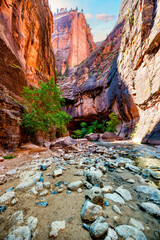 Zion National Park, Utah, USA, narrowing trail. Beautiful scenery, primeval nature, views of incredibly picturesque cliffs and mountains. Concept, tourism, travel, landmark