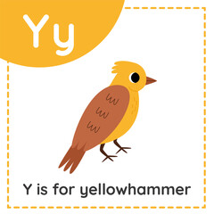 Learning English alphabet for kids. Letter Y. Cute cartoon yellowhammer.