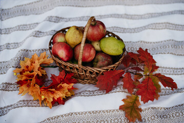 Autumn picnic with a basket of fruits