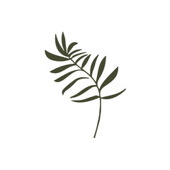 flower and tropical leave vector set