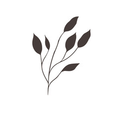 flower and tropical leave vector set