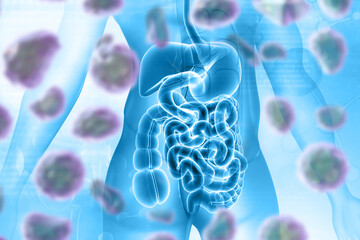 Human digestive system with virus bacteria. 3d illustration.. - obrazy, fototapety, plakaty