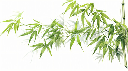 Bamboo drawing