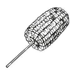 Hand drawn vector sketch of baked sweet corn, grilled corn ear, black and white illustration of maize ear of corn, inked illustration isolated on white background