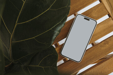 Flatlay phone and ficus leaves on wooden stool. Aesthetic elegant blog, online shop, store social...