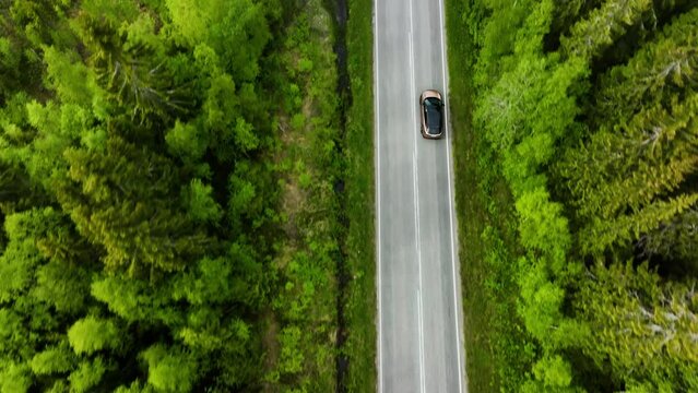 Aerial view above a EV car driving on a forest road, summer evening in Scandinavia